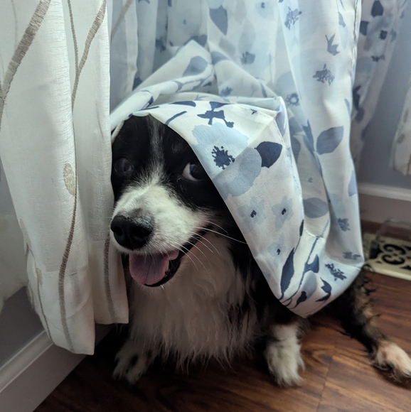 Get to Know Me! - Picture 3 of 3